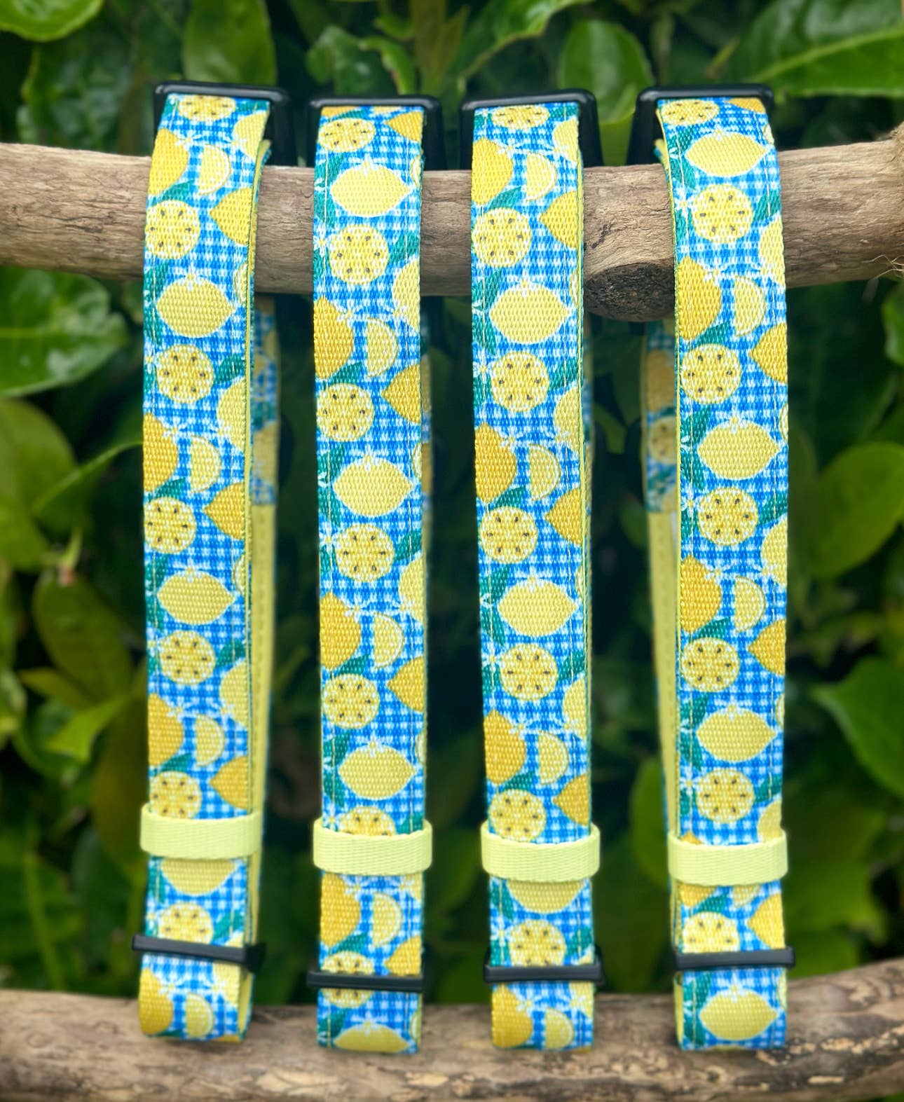 Wild Tails Co - Lemon Squeezy Collar - Large