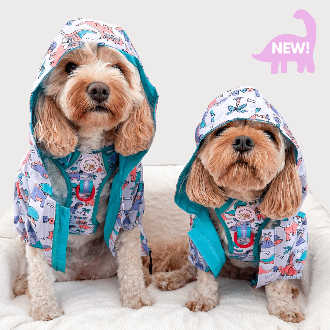 Zelda & Harley - Doggosaurus Rex Reversible Raincoat - Size 4