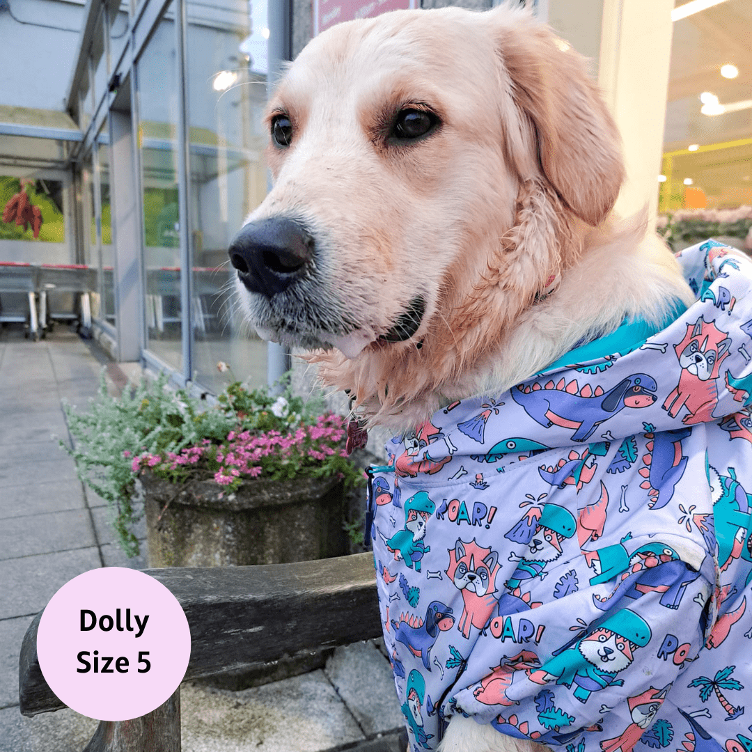 Zelda & Harley - Doggosaurus Rex Reversible Raincoat - Size 4