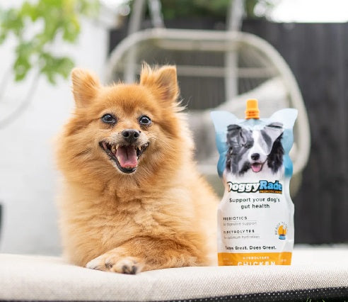 DoggyRade Prebiotic, Isotonic Drink with electrolytes + Free bowl with every 2 ordered