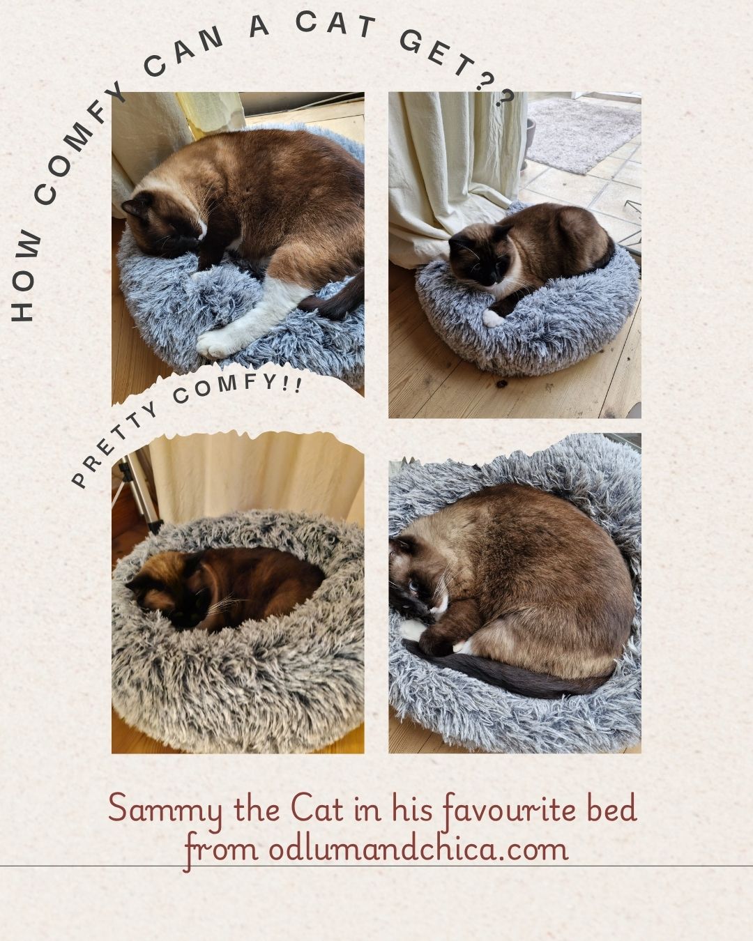 Super Soft Donut Bed for pets - Poilu by Bobby Canifrance - Sable / 50 x 25 cm