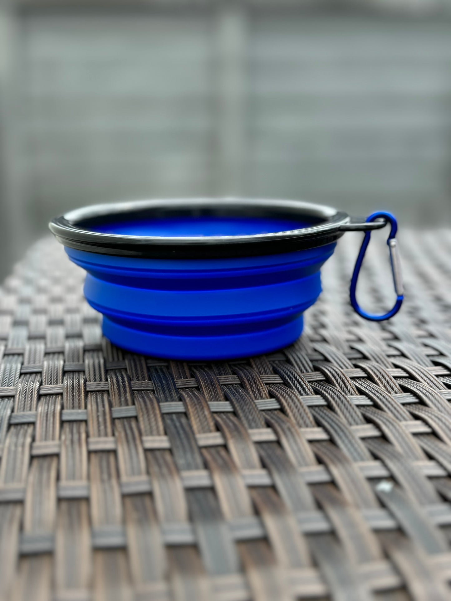 DoggyRade portable, collapsible pets water/food bowl with clip