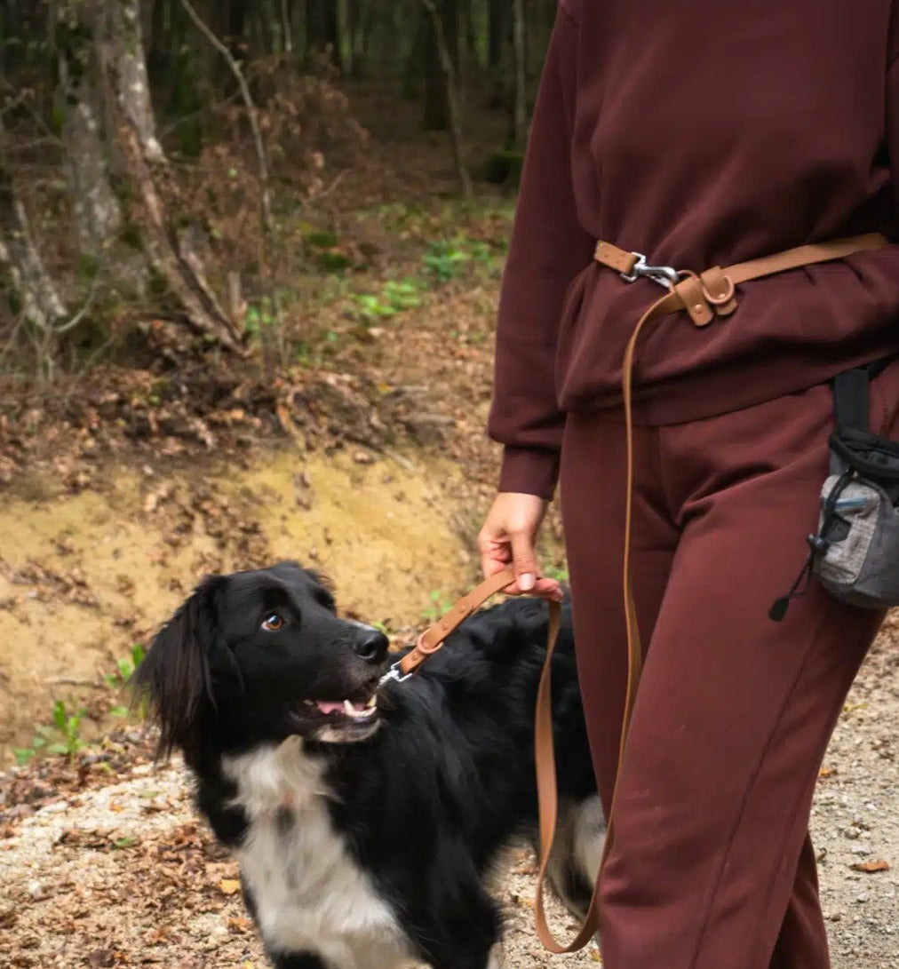 Voyage Multi Leash – Multifunctional Dog Leash - Use 6 x ways - Cognac Brown