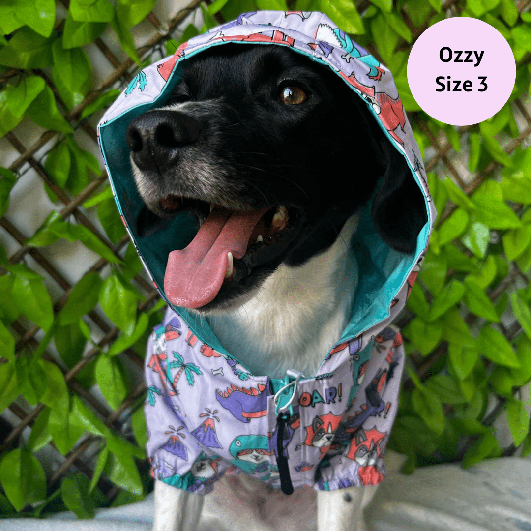 Zelda & Harley - Doggosaurus Rex Reversible Raincoat - Size 4