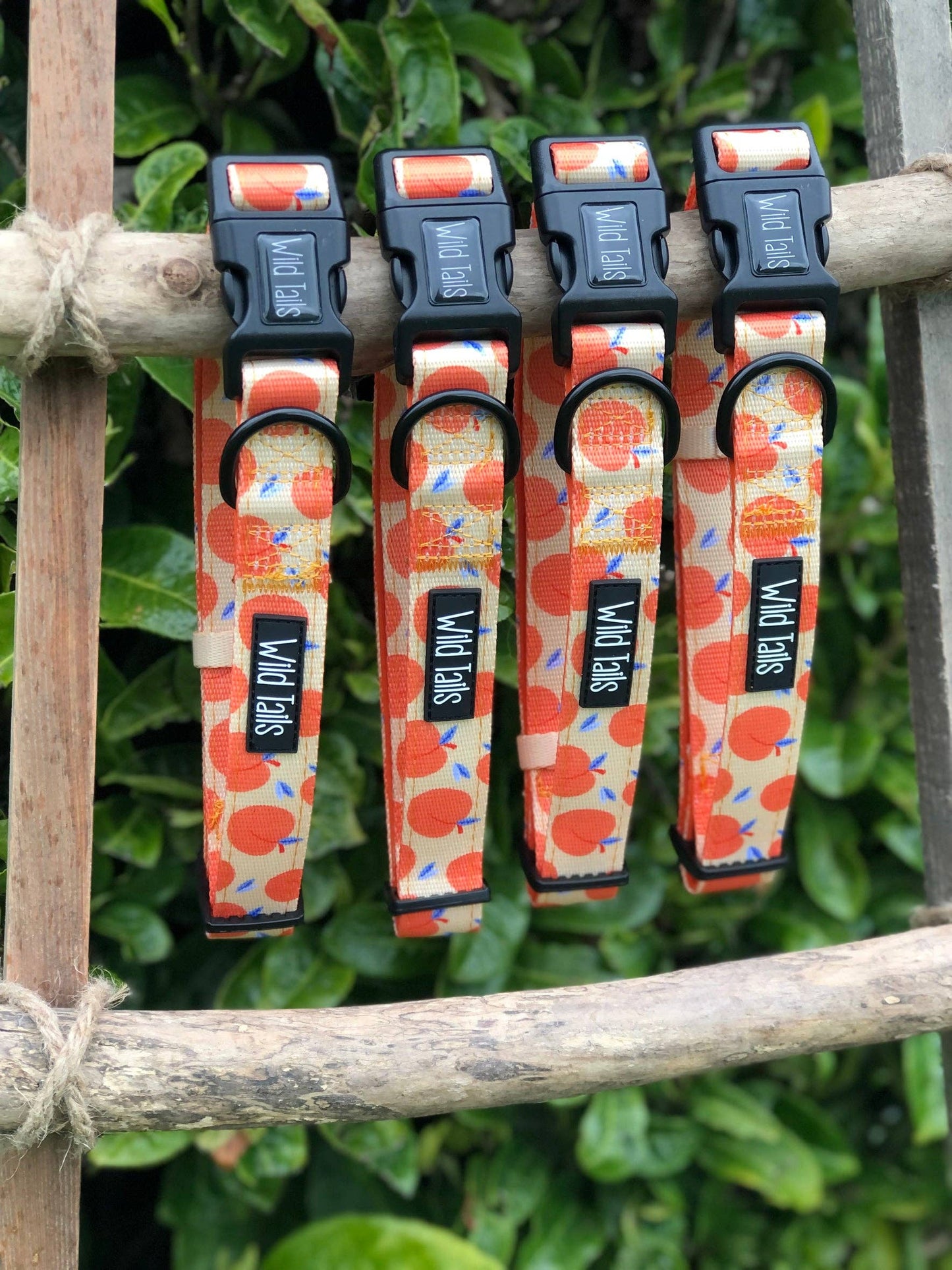 Wild Tails Co - Georgia Collar - Small