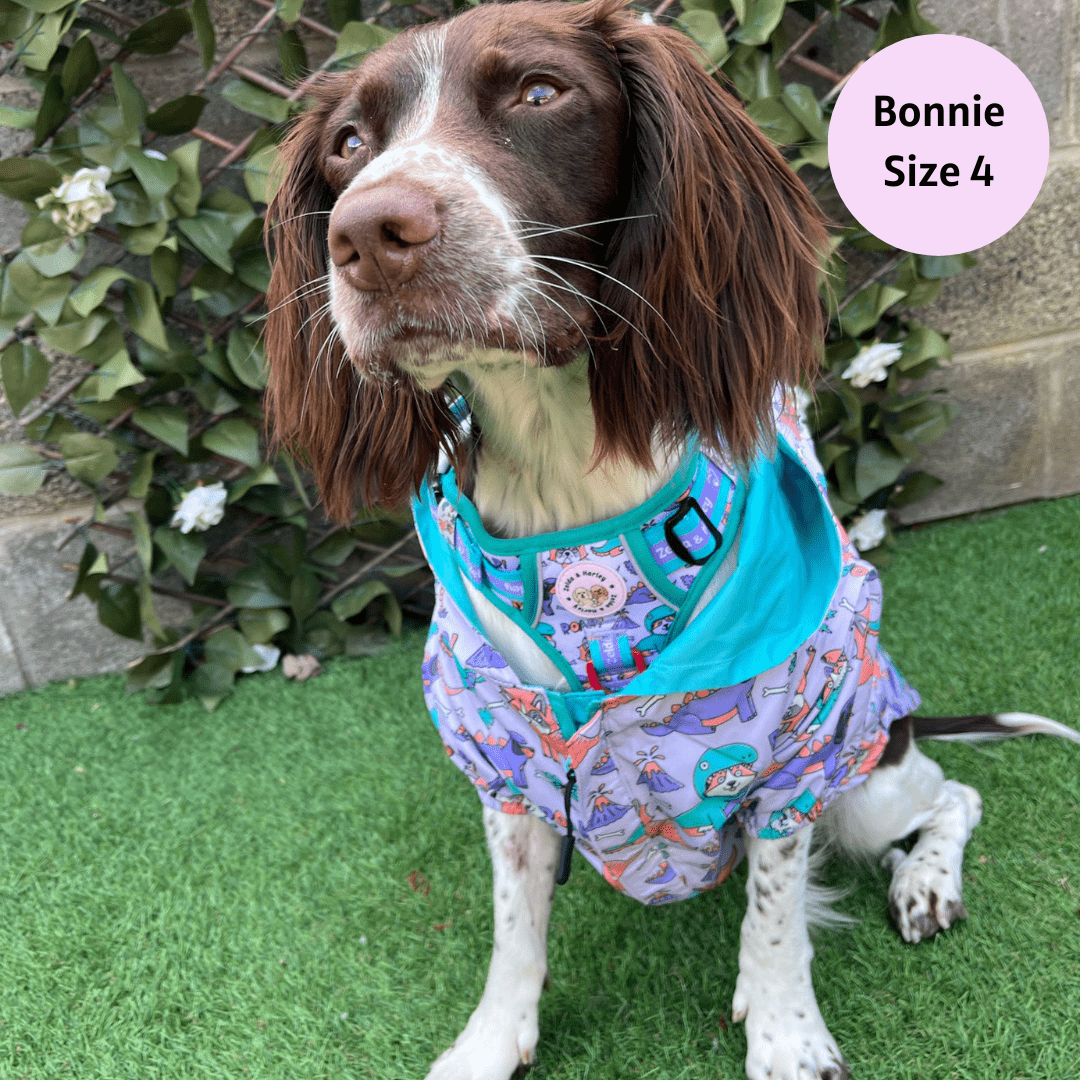 Zelda & Harley - Doggosaurus Rex Reversible Raincoat - Size 4
