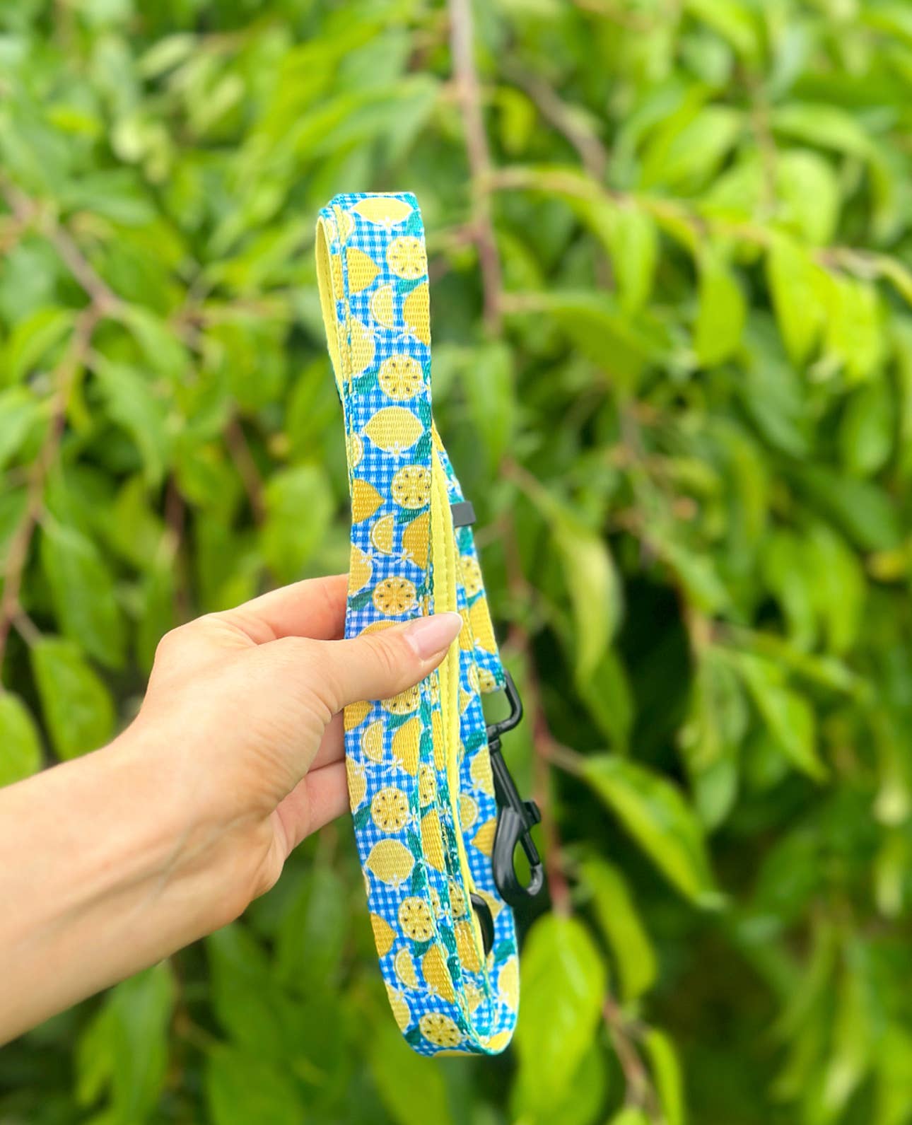 Wild Tails Co - Lemon Squeezy Adjustable Lead