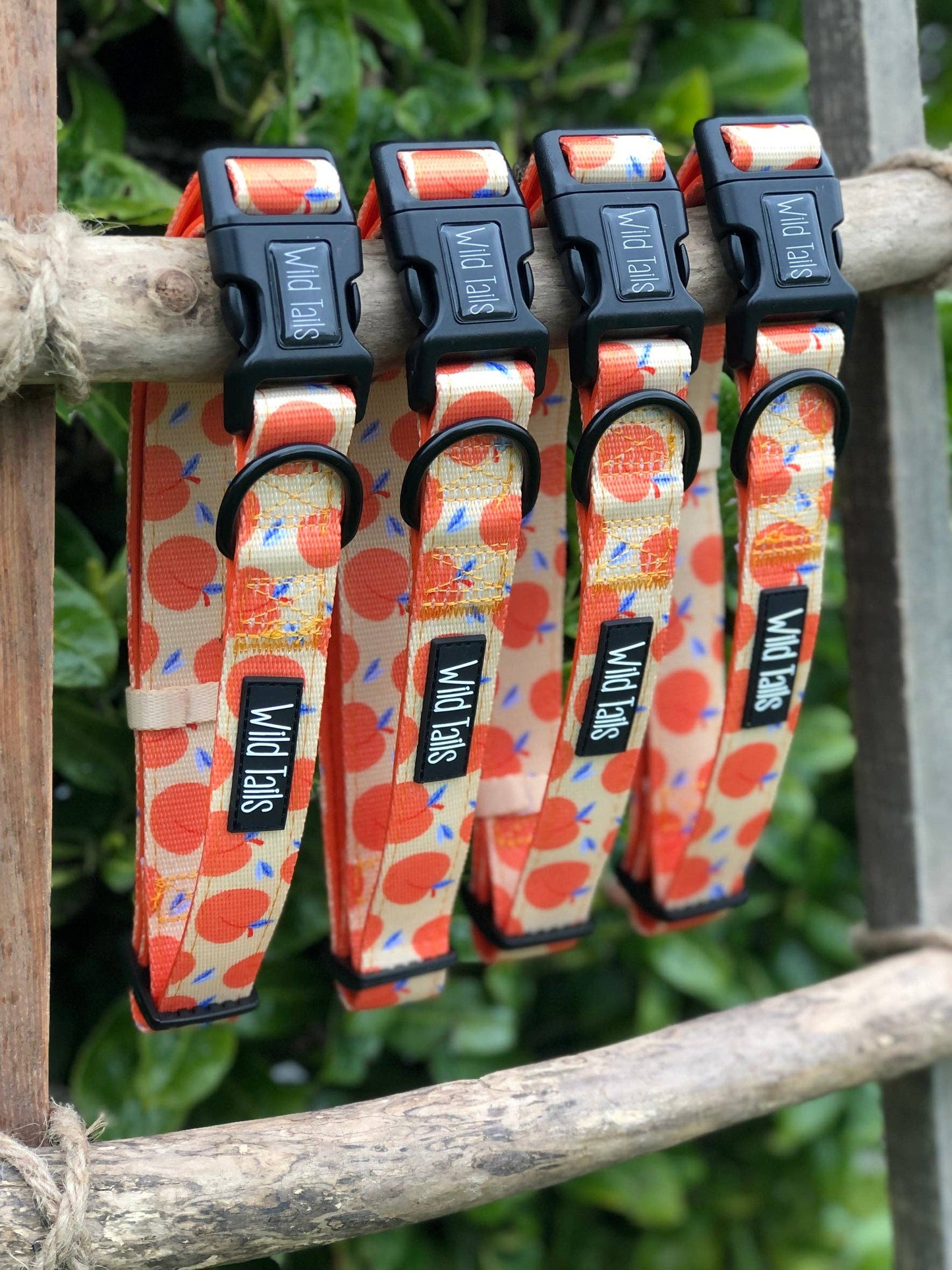 Wild Tails Co - Georgia Collar - Large