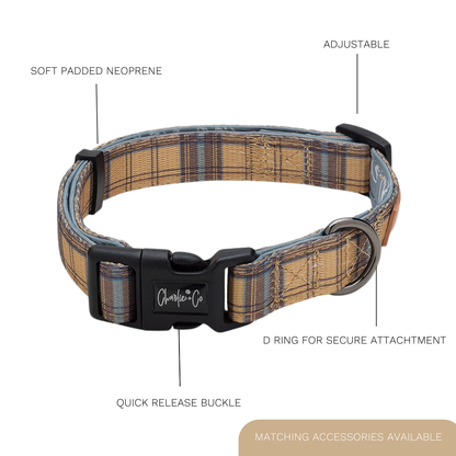 Charlie & Co - Adjustable Dog Collar, Check Him Out - 1