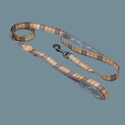 Charlie & Co - Dual Handled Dog Lead - Check Him Out