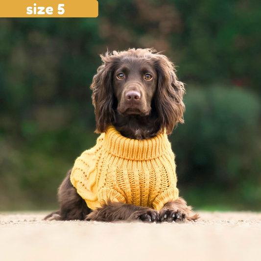 Charlie & Co - Dog Cable Knit Jumper - Mustard - 2 / Mustard
