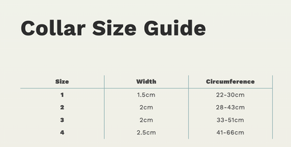 Charlie & Co - Adjustable Dog Collar, Check Him Out - 3