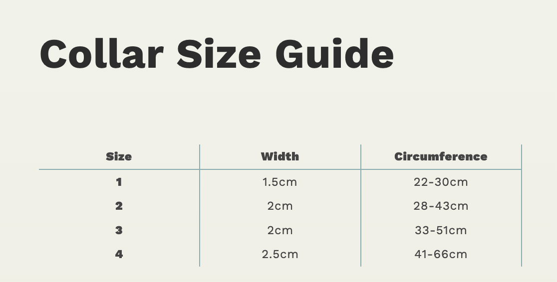 Charlie & Co - Adjustable Dog Collar, Check Him Out - 2