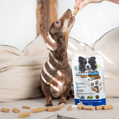 Doggyrade Prebiotic Vegan Superfood Chewies  - Banana, Peanut Butter, Chia & Flax Seeds