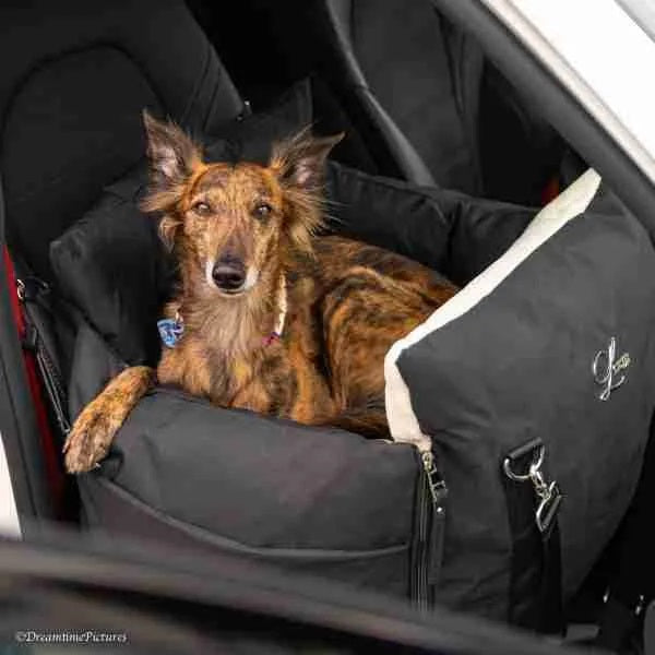 Sportive, Designer Luxury Dog Car Seat, Black, Medium.