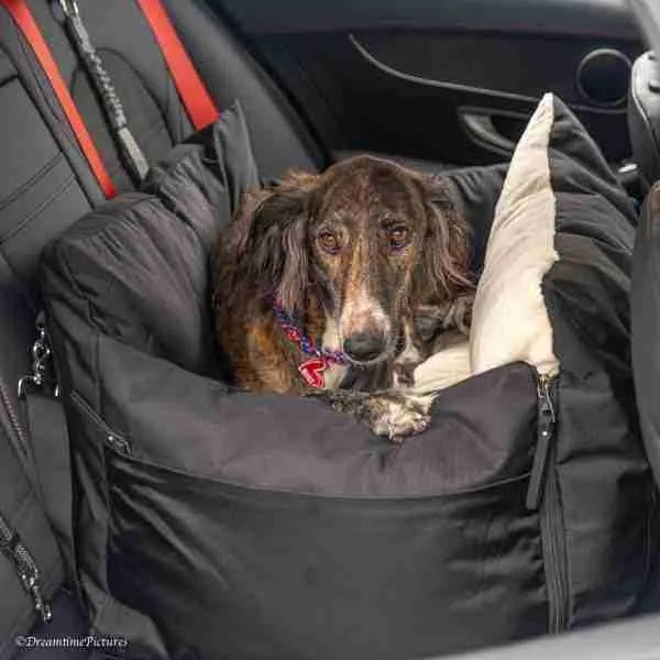 Sportive, Designer Luxury Dog Car Seat, Black, Medium.