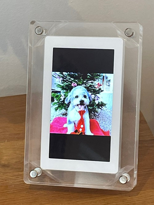 Pet Memorial Acrylic Digital Photo Frame 5 Inch for Video and Photos. 2 GB memory, portable.