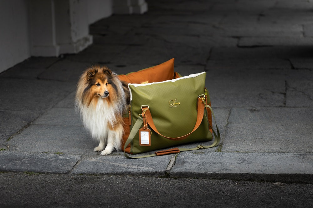 Designer Luxury Dog Car Seat, Olive Green and Tan.