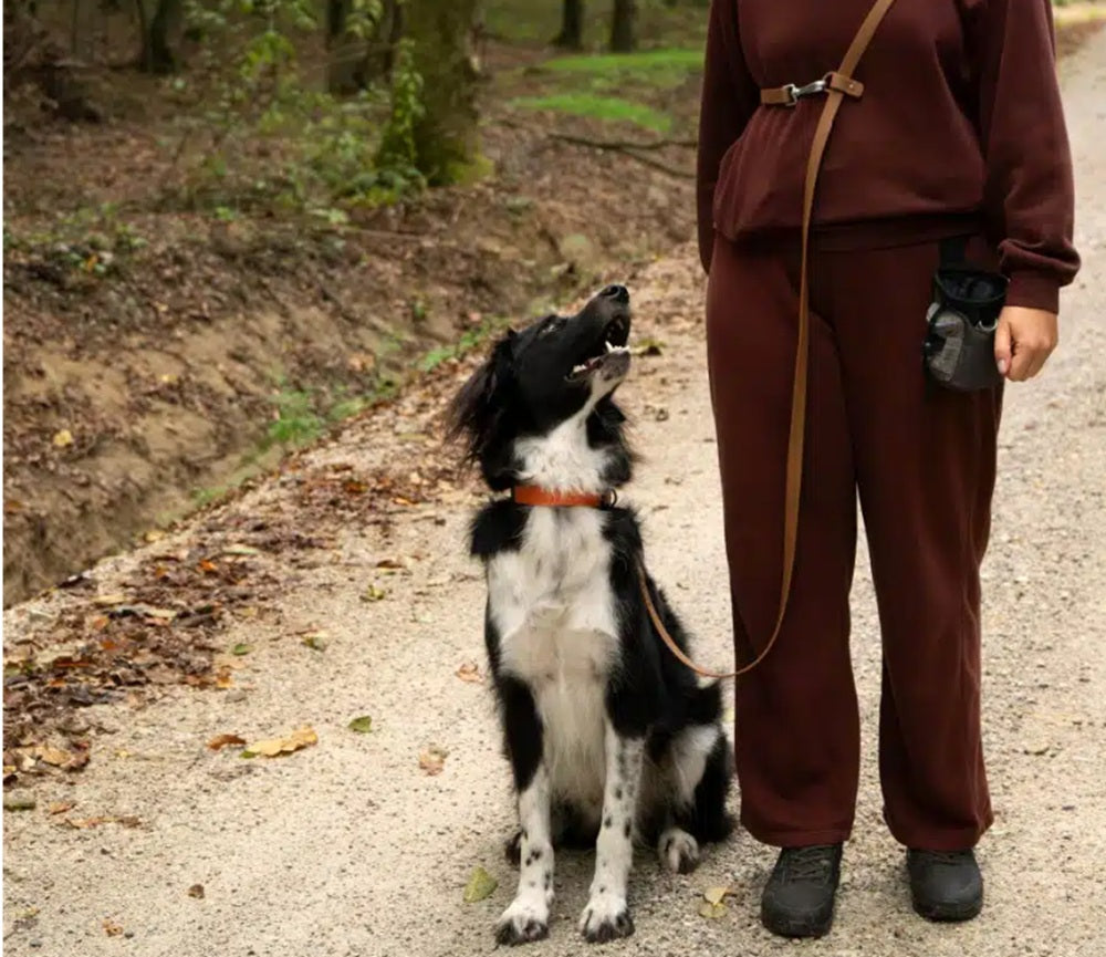 Voyage Multi Leash – Multifunctional Dog Leash - Use 6 x ways - Navy Blue