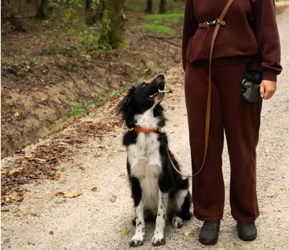 Voyage Multi Leash – Multifunctional Dog Leash - Use 6 x ways - Navy Blue