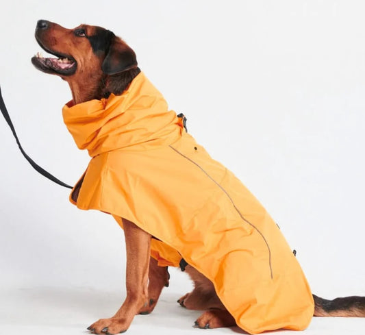 Breathable Yellow Dog Raincoat - 2XL