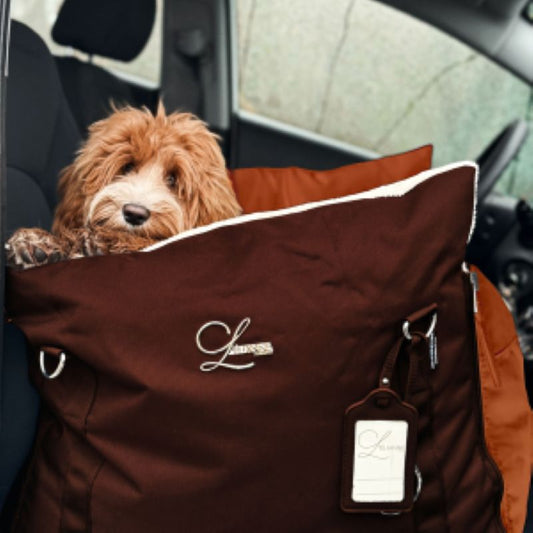 Designer Luxury Dog Car Seat, Sportive Model in Cognac, Medium