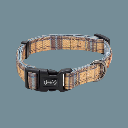 Charlie & Co - Adjustable Dog Collar, Check Him Out - 1
