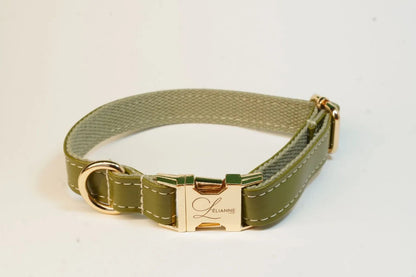 Luxury Dog Collar and Lead in Olive Green