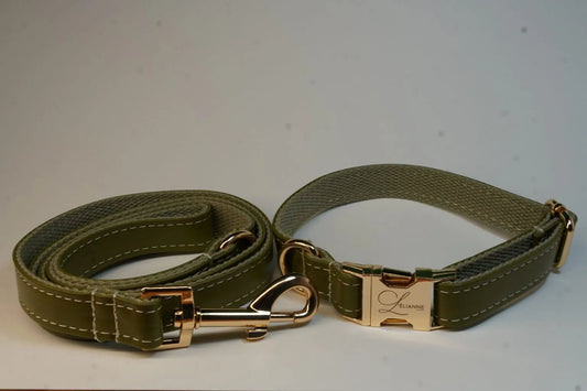 Luxury Dog Collar and Lead in Olive Green