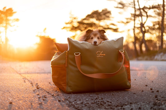 Designer Luxury Dog Car Seat, Olive Green and Tan.