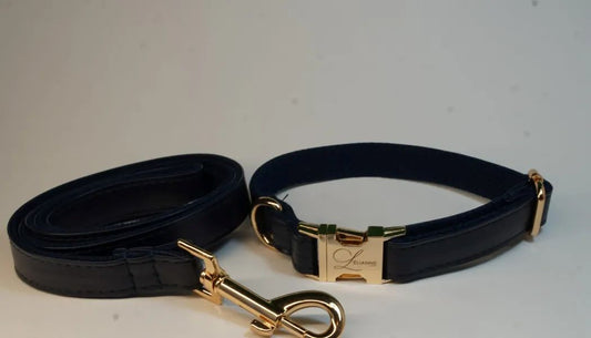 Luxury Dog Collar and Lead in Navy