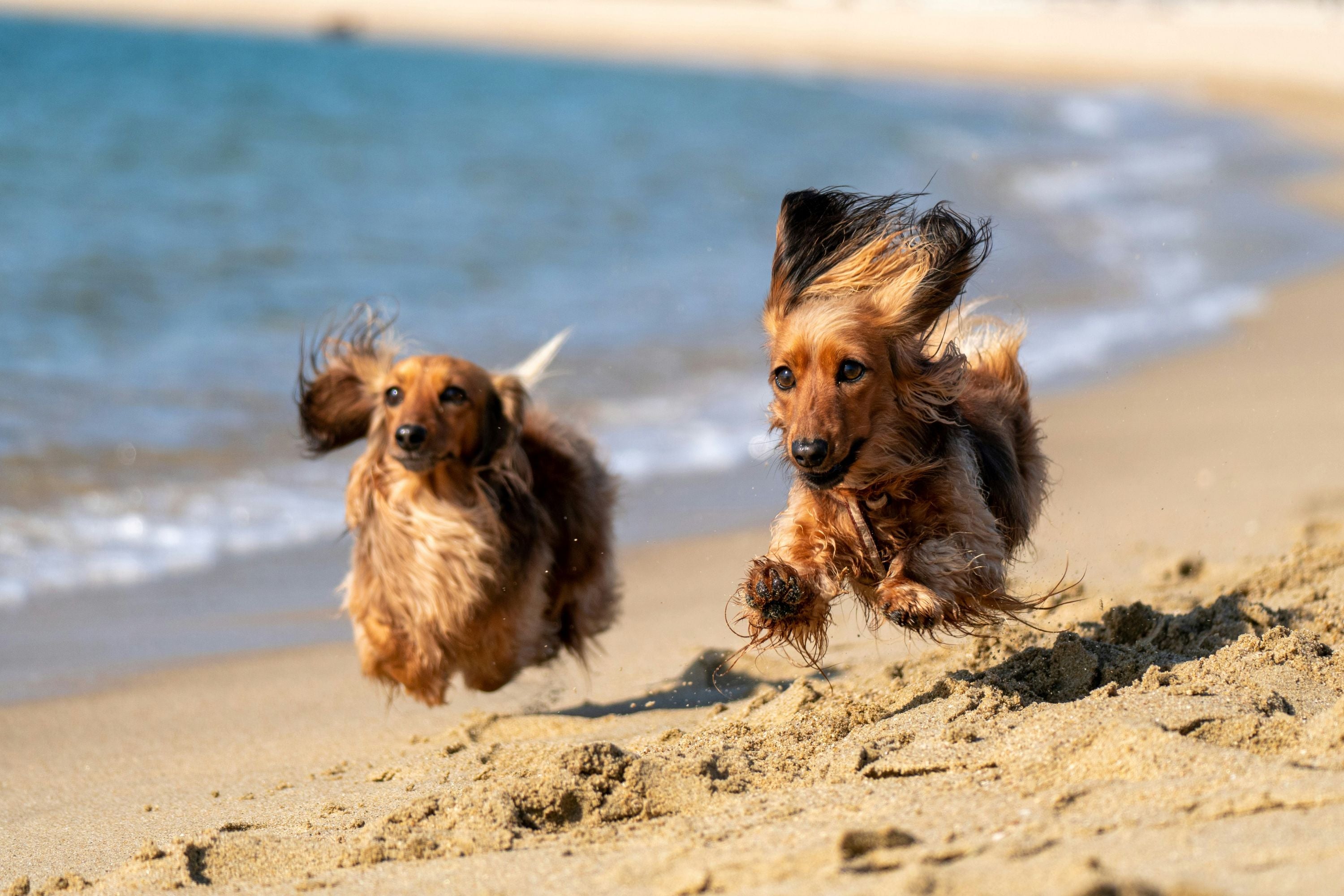 Summer is here!